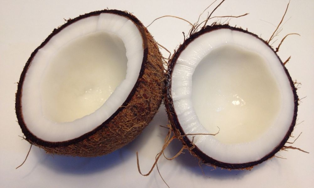 Essential Documents Required for Exporting Coconut